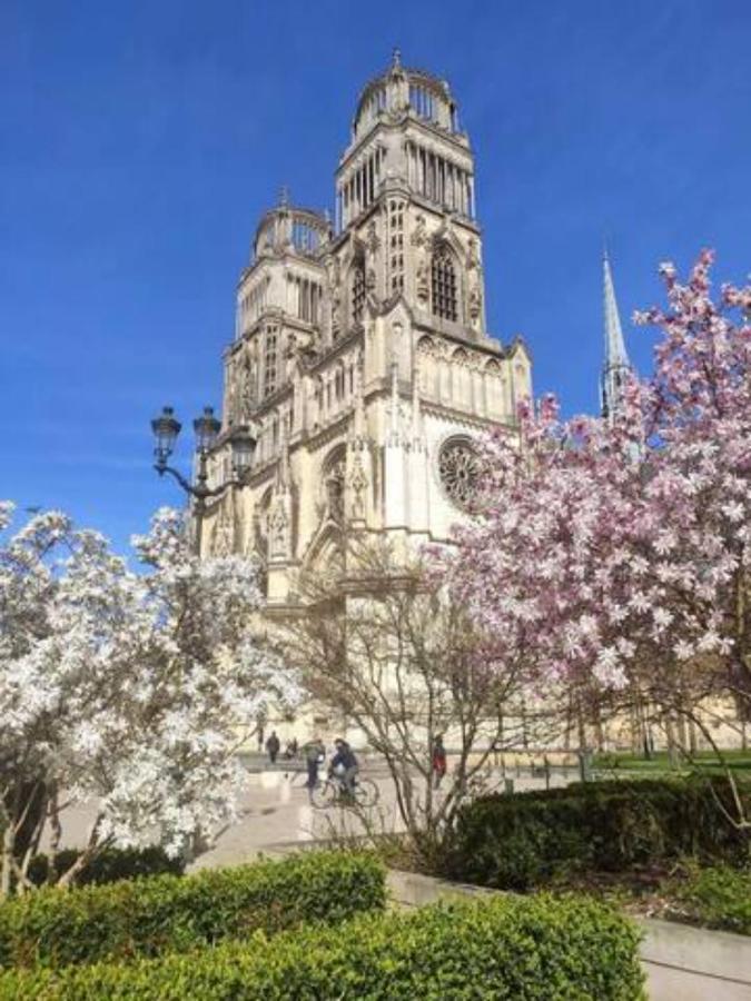 オルレアンThe Garden, Proche Bord De Loireアパートメント エクステリア 写真